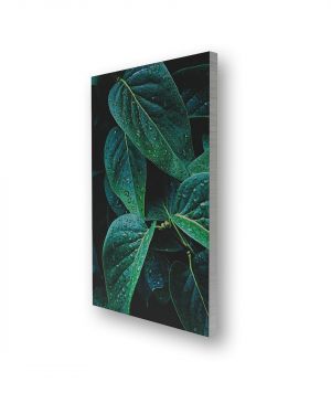 Akustikbild Premium L – 100x150cm (hochkant)