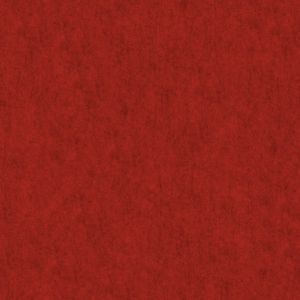 10028 Feuerrot
