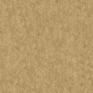 10029 Beige