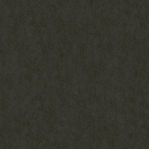10031 Schwarzoliv